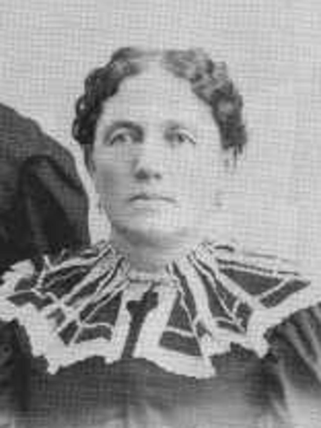 Eveline Allen (1849 - 1934) Profile